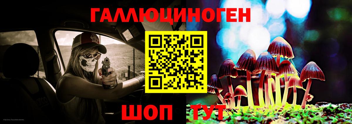 Псилоцибиновые грибы Psilocybe  Вход с VPN  Волгоград 