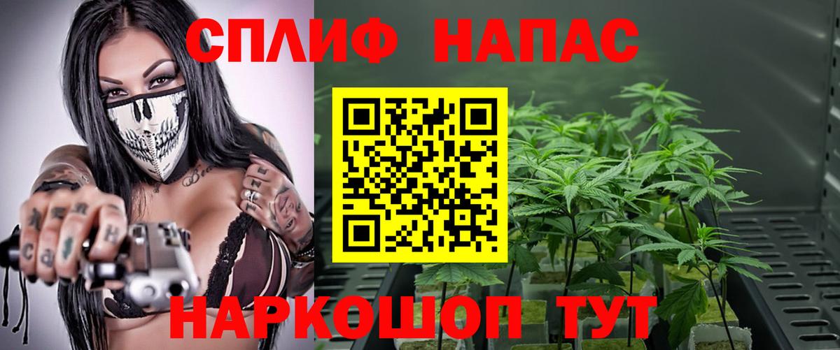 Шишки марихуана MAZAR Волгоград